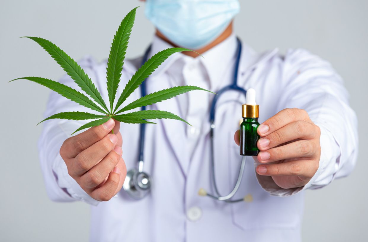 Pbma Uso terapêutico da maconha cresce como aliada a problemas crônicos - PBMA